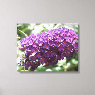 Lienzo Hermosa tela de tela de flores moradas de Buddleia