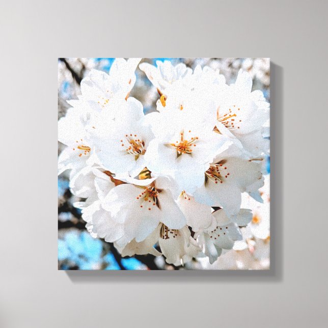 Lienzo Hermosas flores blancas bajo un brillante toldo de (Anverso)