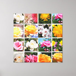 Lienzo Hermosas flores coloridas, rosa, blanca rosa amari