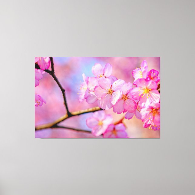 Lienzo Hermosas Flores de Cerezo Rosadas en Primavera (Anverso)