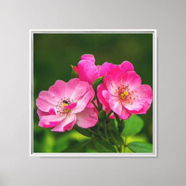 Lienzo Hermosas flores rosas-6845 (Anverso)