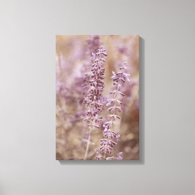 Lienzo Hermosas flores silvestres de la Lavanda Montana (Anverso)
