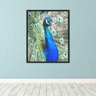 Lienzo Hermosas plumas de pavo real azul fotográficas