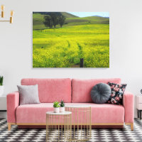 Hermosas semillas de mostaza Campos de California 