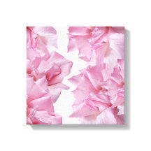 Hermoso abstracto floral pétalo rosa rosado