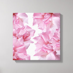 Lienzo Hermoso abstracto floral pétalo rosa rosado