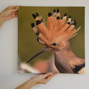 Lienzo Hermoso Ave De Hoopoe Con Corona De Pies