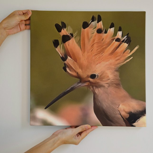 Lienzo Hermoso Ave De Hoopoe Con Corona De Pies (Subido por el creador)