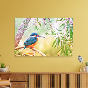 Lienzo Hermoso ave de Kingfisher en una capa de árbol