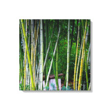 Hermoso bosque de bambú verde amarillo y gris