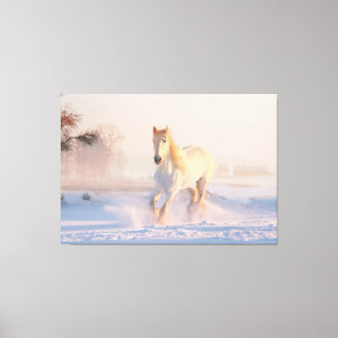 Lienzo Hermoso caballo blanco invernal