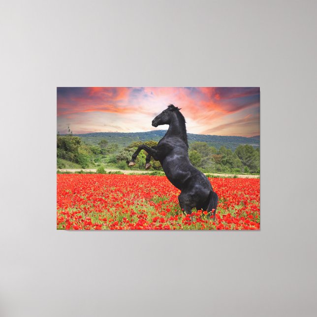 Lienzo Hermoso Caballo de Stallion Negro (Anverso)
