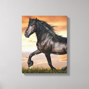 Lienzo Hermoso caballo negro