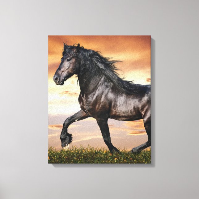 Lienzo Hermoso caballo negro (Anverso)