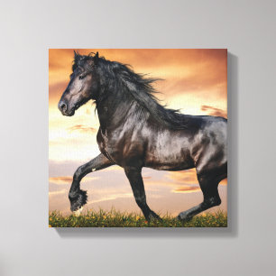 Lienzo Hermoso caballo negro