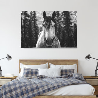 Lienzo Hermoso Caballo Salvaje Espíritu Negro y Blanco
