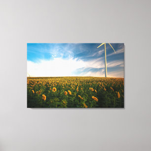 Lienzo hermoso campo de flores solares con cielo azul tur