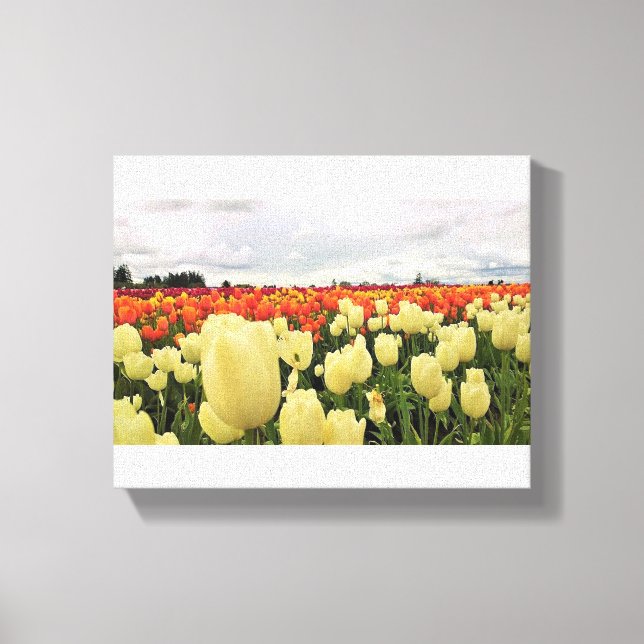 Lienzo Hermoso Campo Tulipán, Oregón (Anverso)