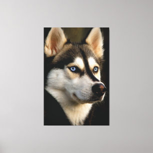 Lienzo Hermoso Cojín decorativo Husky