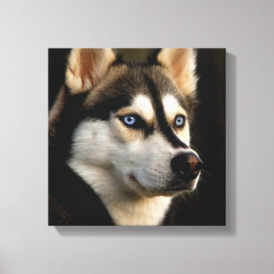 Lienzo Hermoso Cojín decorativo Husky
