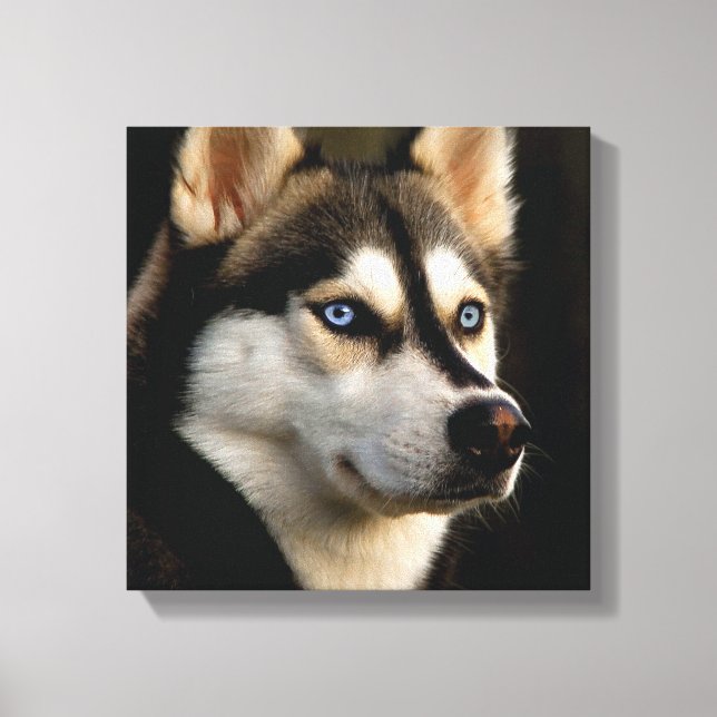 Lienzo Hermoso Cojín decorativo Husky (Anverso)