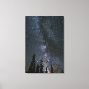 Lienzo Hermoso Cosmos