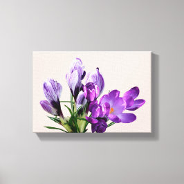 Lienzo Hermoso crocus floral morado moderno y bonito lien