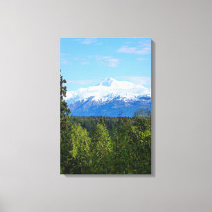 Lienzo Hermoso Denali