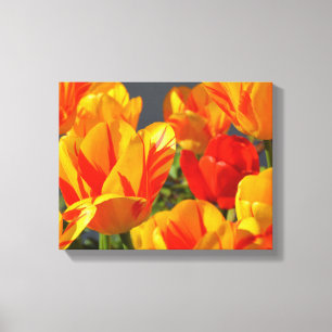 Lienzo Hermoso Naranja y tulipanes amarillos