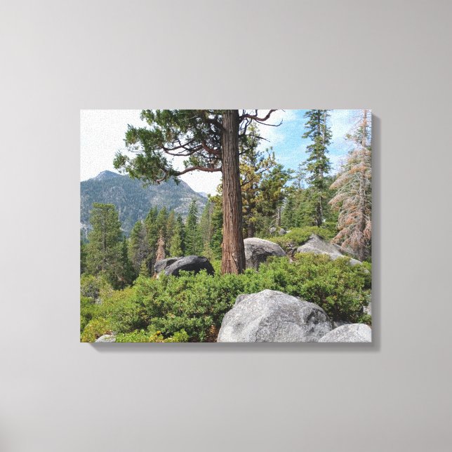 Lienzo Hermoso paisaje del lago Tahoe (Anverso)