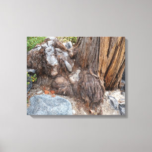 Lienzo Hermoso paisaje del lago Tahoe