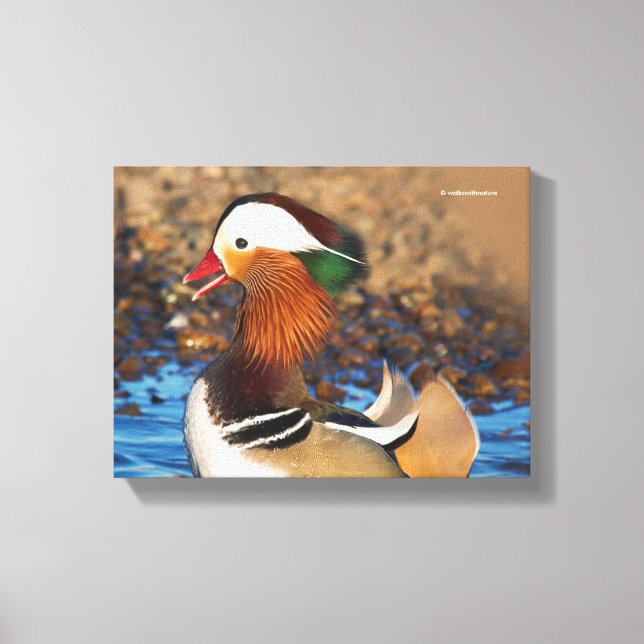 Lienzo Hermoso pato chatty mandarín en el estanque (Anverso)