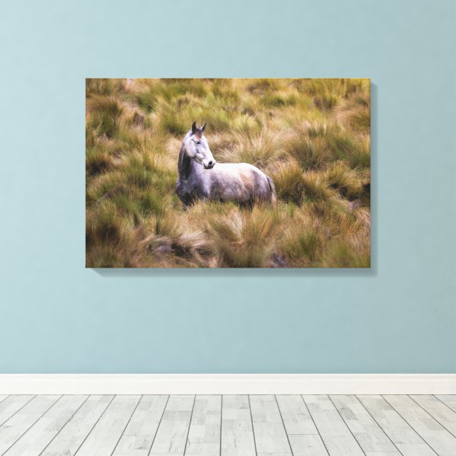 Lienzo Hermoso Poster de caballos White Praire Horse (Insitu (piso de madera))