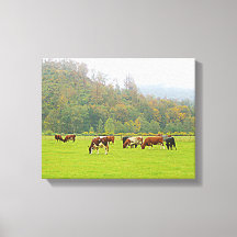 Hermoso rancho, vacas y pastizal verde, escena de 
