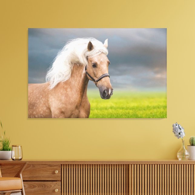 Lienzo Hermoso retrato de caballo palomino con maná largo (Insitu (Sala de estar))