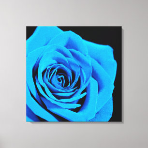 Lienzo Hermoso rosa azul