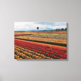 Lienzo Hermoso Tulip Field con globo de aire caliente, Or