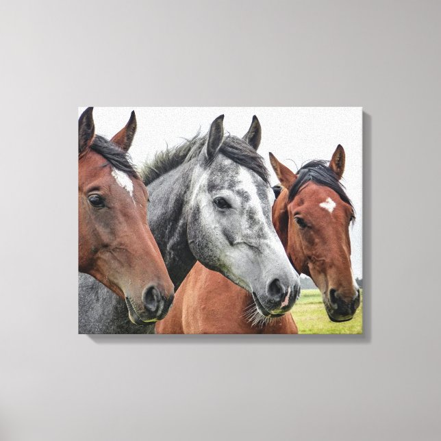 Lienzo Hermosos caballos (Anverso)