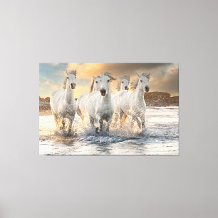 Lienzo Hermosos caballos blancos salvajes
