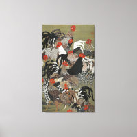 Hermosos gallos multicolores