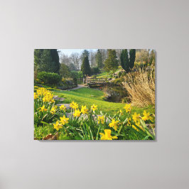 Lienzo Hermosos narcisos de primavera