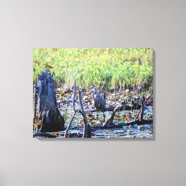 Lienzo Heron 6467 (Anverso)