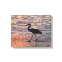 Heron en la caminata matutina