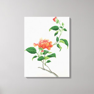 Lienzo Hibisco