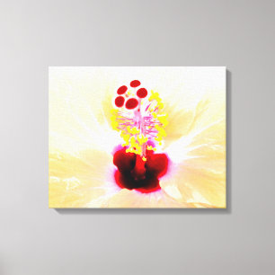 Lienzo hibisco