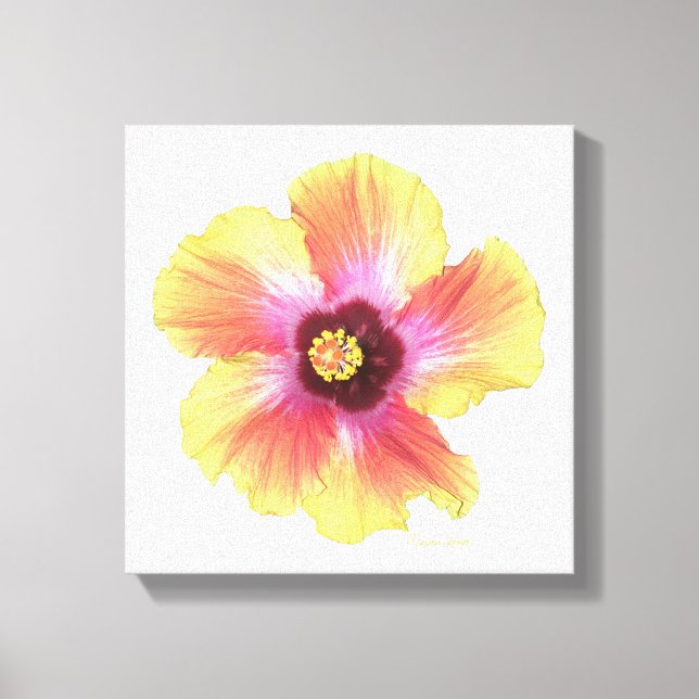 Lienzo Hibiscus (Anverso)
