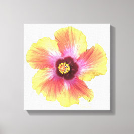 Lienzo Hibiscus