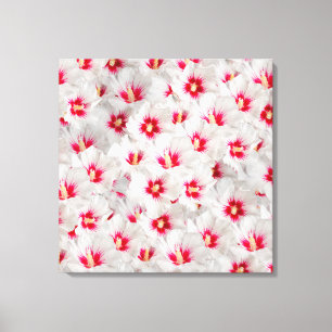 Lienzo Hibiscus - Patrón de flor Rosa chino