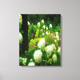 Lienzo Hidrangeas livianas en mi jardín de Rubio