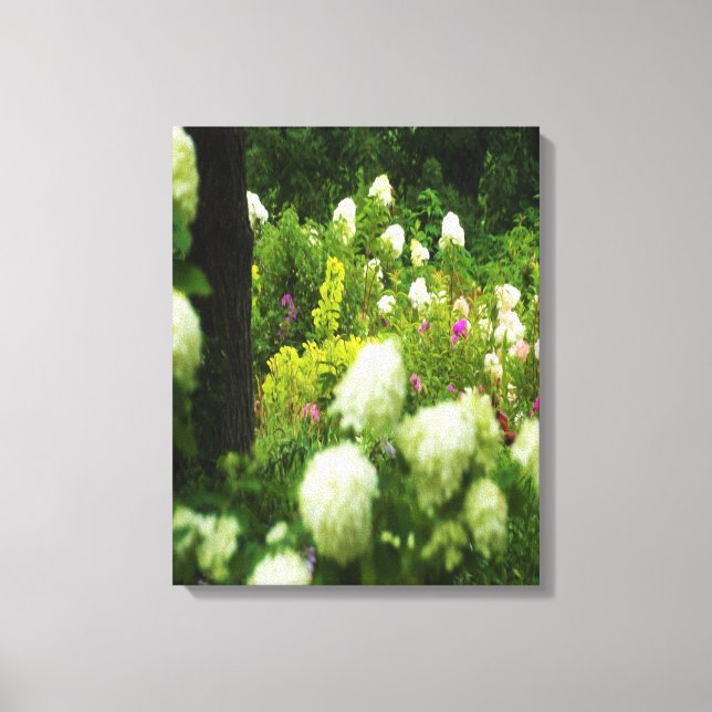 Lienzo Hidrangeas livianas en mi jardín de Rubio (Anverso)